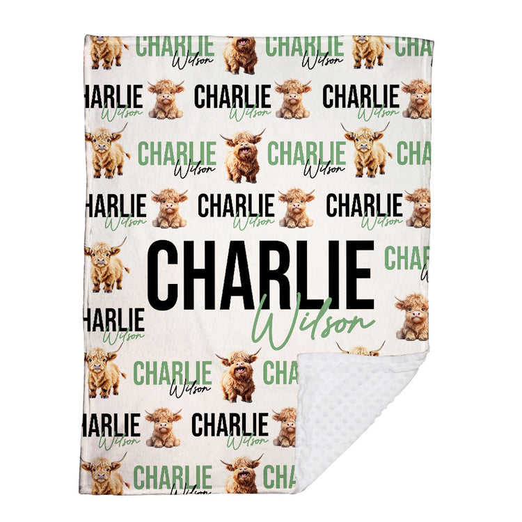 Personalized Baby Blankets with Name, 3 Sizes Plush Blanket for Infant Newborn Toddlers, Gift For Baby