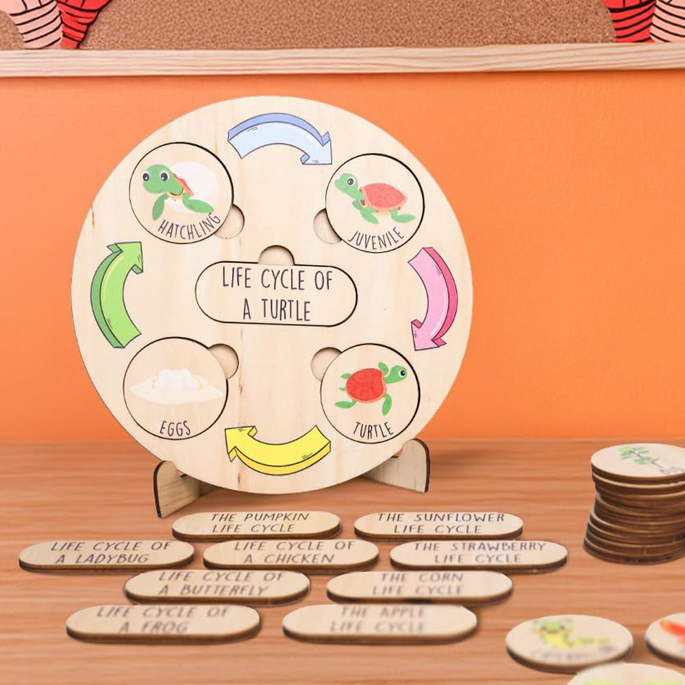 Wooden Life Cycle Puzzle Tray for Kids, Animal, Educational Toys Puzzle Board For Toddlers, Classroom Toys For Boys and Girls
