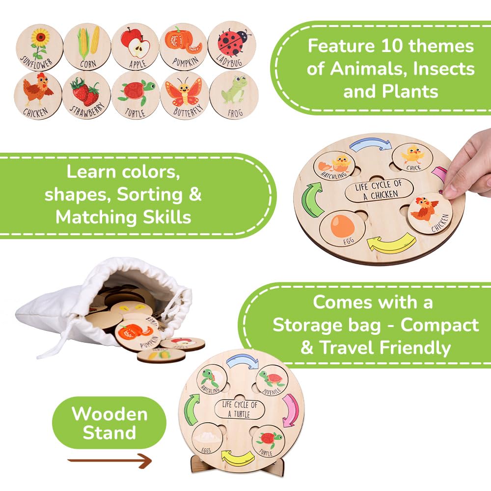Wooden Life Cycle Puzzle Tray for Kids, Animal, Educational Toys Puzzle Board For Toddlers, Classroom Toys For Boys and Girls