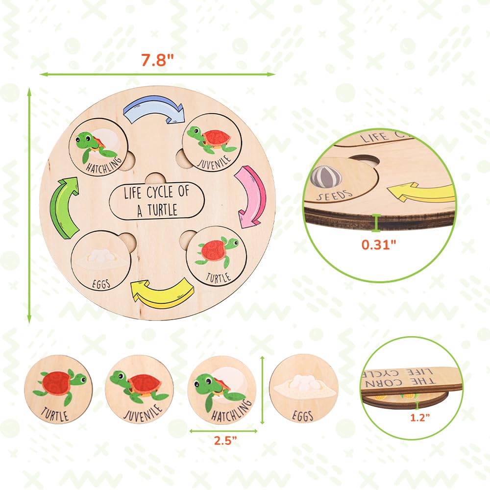 Wooden Life Cycle Puzzle Tray for Kids, Animal, Educational Toys Puzzle Board For Toddlers, Classroom Toys For Boys and Girls