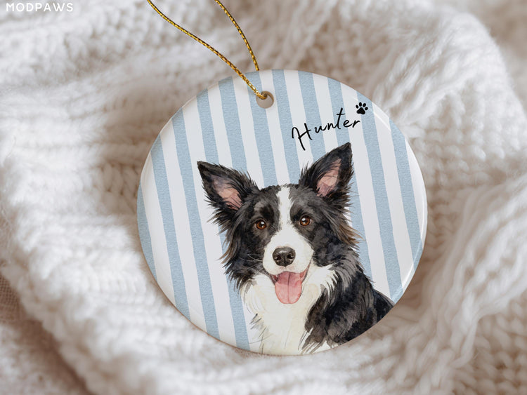 Custom Border Collie portrait ornament with Hunter name and blue stripes