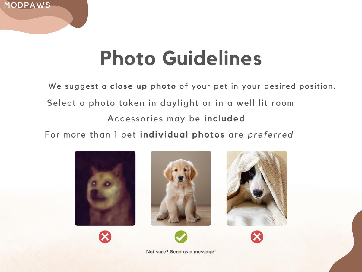 Pet photo guidelines for a clear custom watercolor portrait